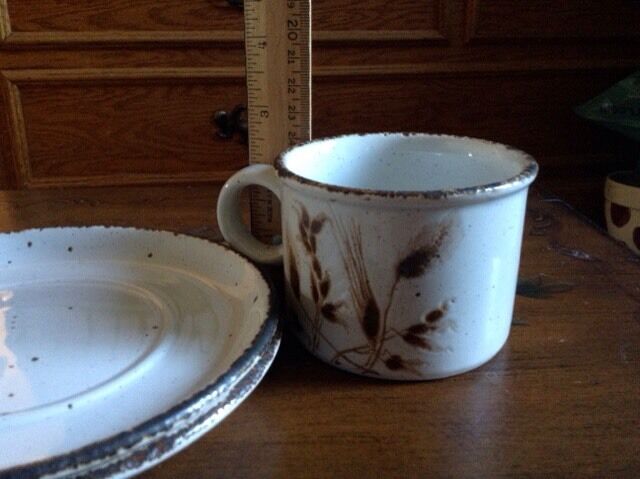 Stonehenge Midwinter Wild Oats Cup & 2 Saucers Oven Tableware England
